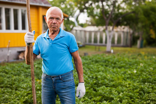 istock Farmer weeds potatoes with a hoe in the garden 1164976357