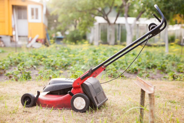 잔디 깎는 기계 여름 정원에서 녹색 잔디에 서 - rotary mower 뉴스 사진 이미지