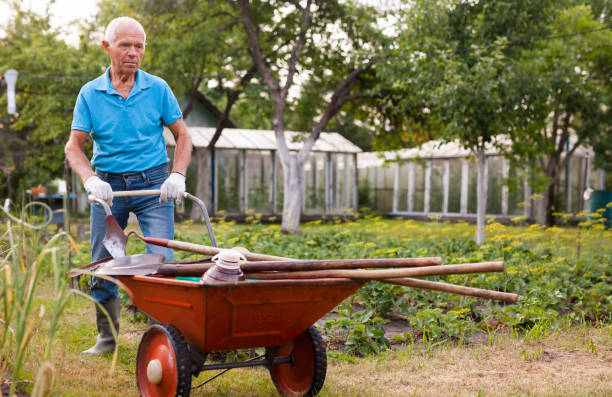 istock Senior man carrying garden tools in a wheelbarrow 1164976379