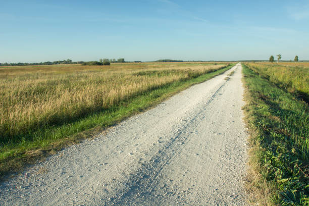 istock Gravel road through wild meadows, horizon and blue sky 1164977314