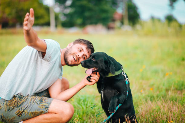 istock Guy and his dog having a fun in the nature 1164982019