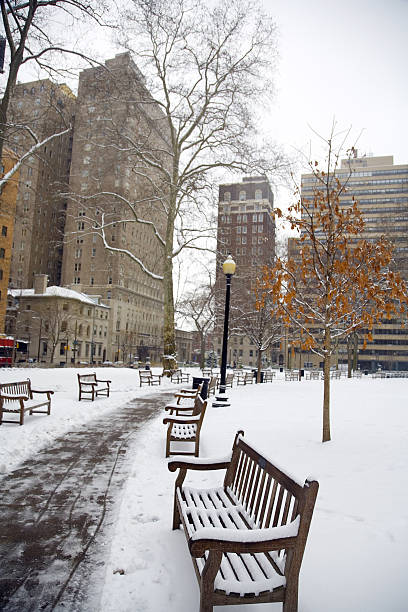 istock Snow in Rittenhouse Park Philadelphia 116498273