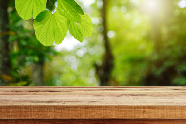 istock Wooden table and blurred green leaf nature in garden background. 1164983547