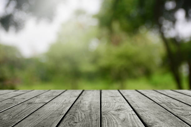 istock Empty wooden table and blurred nature garden background. 1164983695