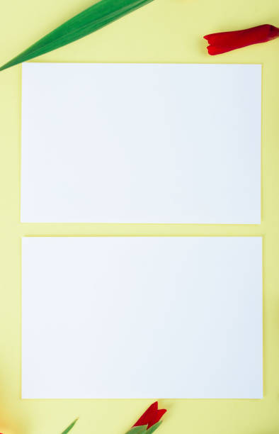 istock White card on a yellow background with gladiolus flowers 1164986010