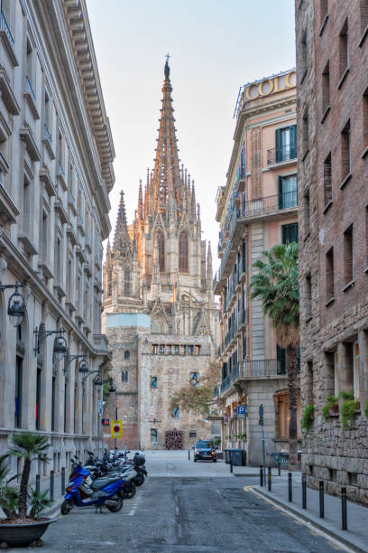 istock Gothic Barcelona Cathedral at the sunrise, Spain. 1164989472