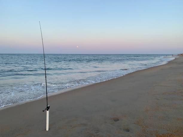 Shore Fishing 2 fishing pole on beach at twilight sea fishing stock pictures, royalty-free photos & images