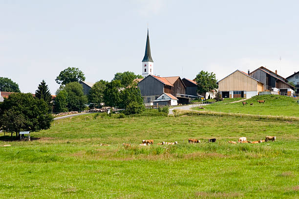 istock Landscape with a little village 116499316