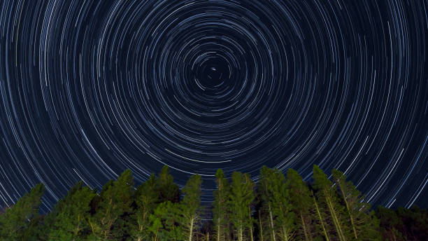 Treetop stars going round and round