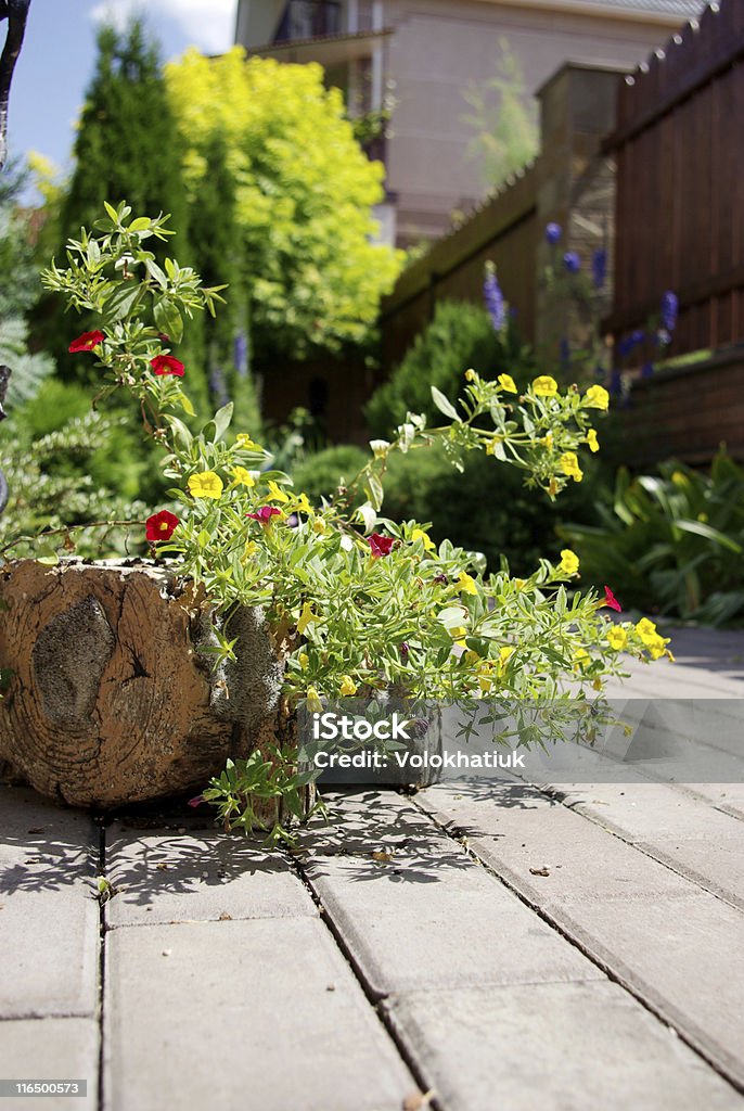 Sur le jardin - Photo de Arbre libre de droits