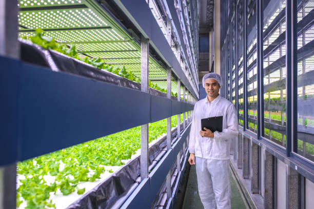 taiwanesische vertikale farmer tracking indoor crop growth - 2589 stock-fotos und bilder