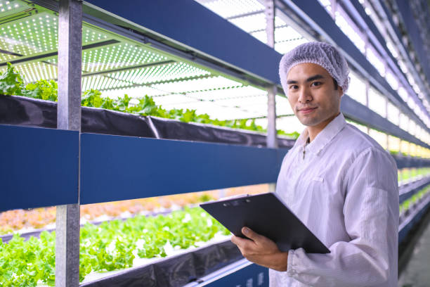 istock Taiwanese Hydroculture Specialist Studying Farming Results 1165006055