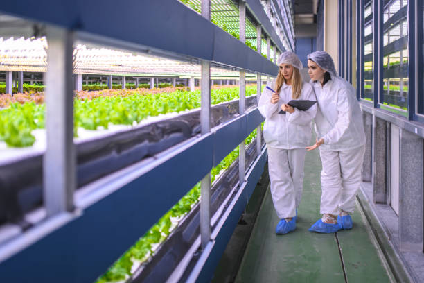 istock Female Indoor Gardeners Debating Crop Growth Techniques 1165006065