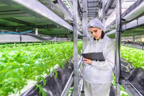 istock Female Indoor Farm Worker Monitoring Crop Development 1165006080