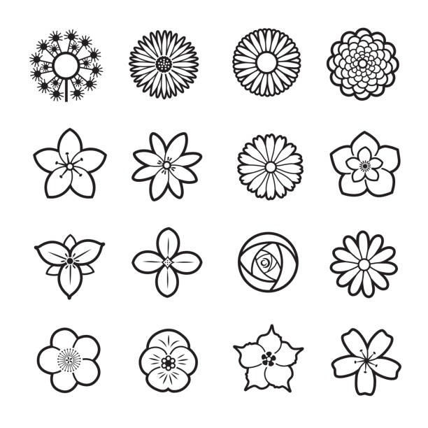 ilustrações de stock, clip art, desenhos animados e ícones de flower icon collection - isolated on white floral pattern rose blossom