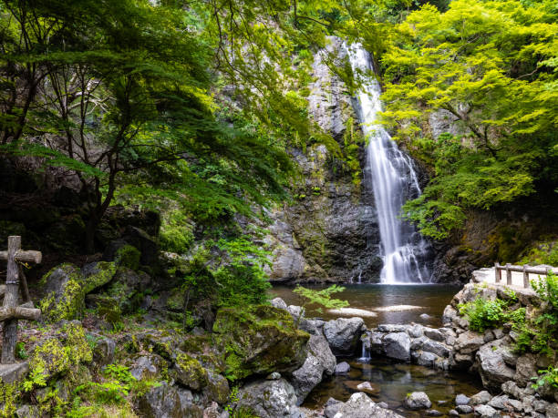 Photo of Waterfall of Minoh