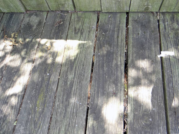 Tree Shadow on boardwalk stock photo