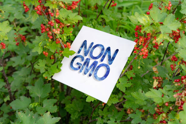 istock square white frame with non gmo text concept on the farm 1165019675