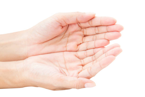 istock Woman Hands isolated on white background. This had clipping path. 1165022524