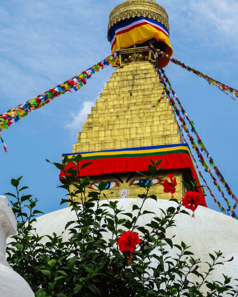 istock Front view of Boudhanath stupa, Kathmandu 1165026842