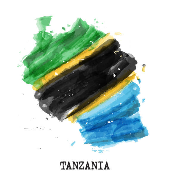 istock Tanzania flag watercolor painting design . Country map shape . Vector 1165027606