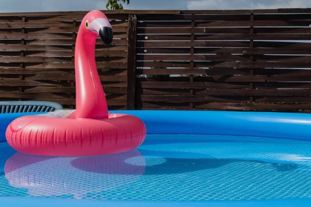 détendez-vous dans la piscine de jardin - plastic flamingo photos et images de collection