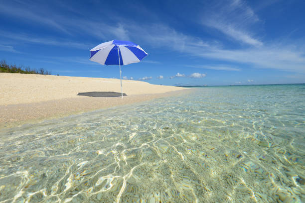 istock Beautiful tropical beach at Okinawa. 1165028951