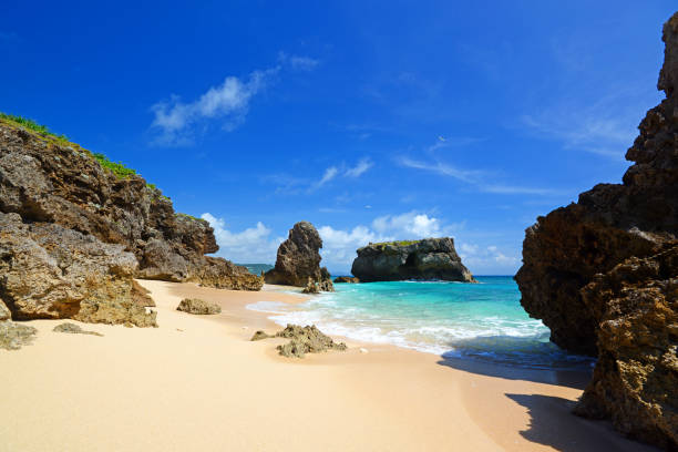 istock Beautiful tropical beach at Okinawa. 1165029009