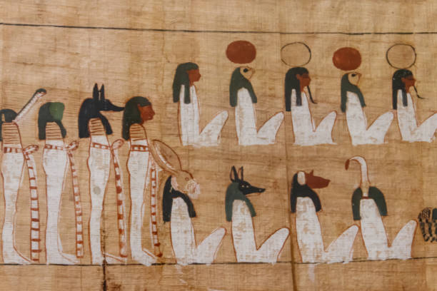 close-up of the ancient egyptian papyrus - paintings africa cairo african culture imagens e fotografias de stock