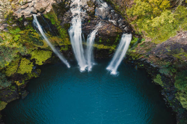 luftaufnahme der whangarei falls. - flowing water stream moss river stock-fotos und bilder