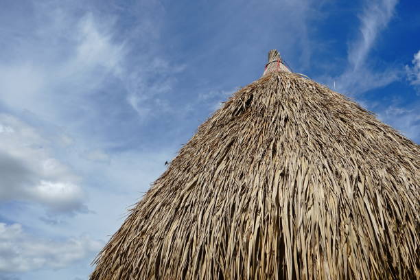 istock Leaf roof and blue sky 1165034264