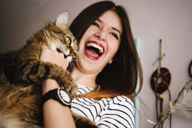 mulher elegante do hipster que joga com seu gato no quarto moderno - animal feline domestic cat animal hair - fotografias e filmes do acervo