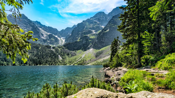 istock Beautiful mountain lake in summer 1165034653