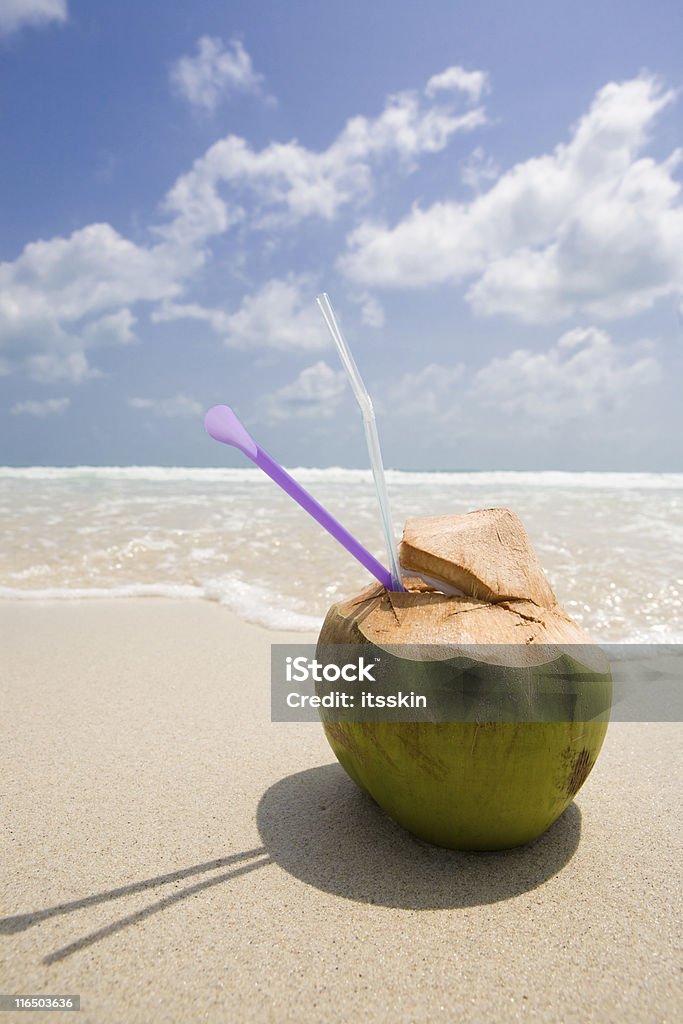 COCCO sulla spiaggia - Foto stock royalty-free di Acqua