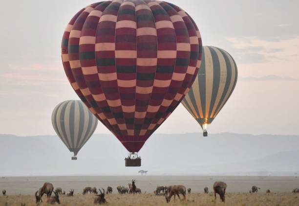 istock Baloon Safari in Masai mara 1165036718