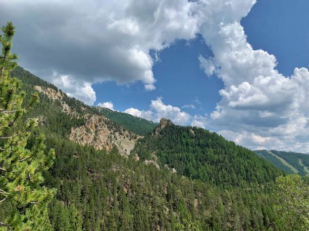 istock wooded slopes in the mountains 1165038568