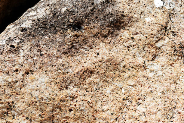 istock Texture of rocks on the seashore close-up. Natural stone background 1165041994