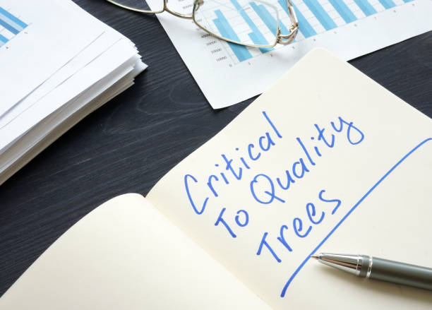 istock Critical to Quality Trees CTQ and stack of papers. 1165046531