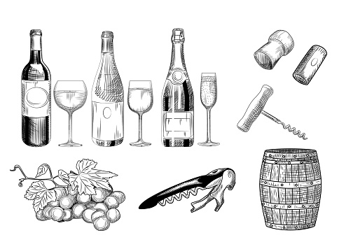 Set of wine. Hand drawn of wine glass, bottle, barrel, wine cork, corkscrew and grapes. Engraving style. Isolated objects on a white background