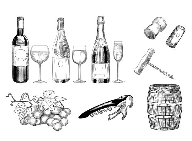 Set of wine. Hand drawn of wine glass, bottle, barrel, wine cork, corkscrew and grapes. Set of wine. Hand drawn of wine glass, bottle, barrel, wine cork, corkscrew and grapes. Engraving style. Isolated objects on a white background champagne illustrations stock illustrations