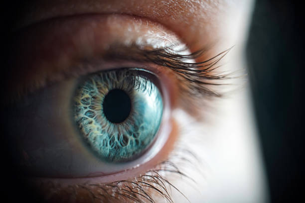 Macro shooting of woman's eye on black background