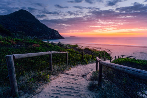 istock Sandy path leading to the beach at sunrise 1165053464