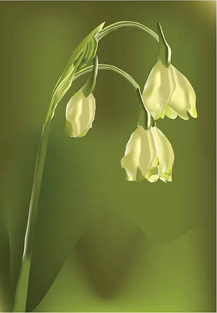 Vector illustration of solitary flower