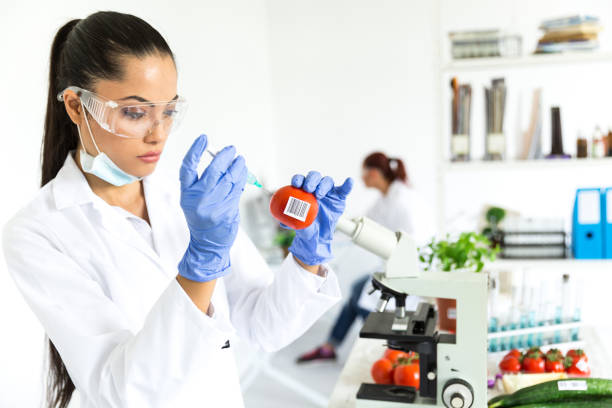 istock Female laboratory technician verify the quality of vegetables 1165055026