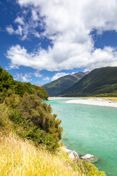 istock Haast River Landsborough Valley New Zealand 1165055413