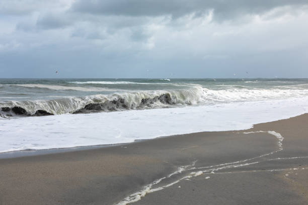 istock sand beach south west New Zealand 1165055470
