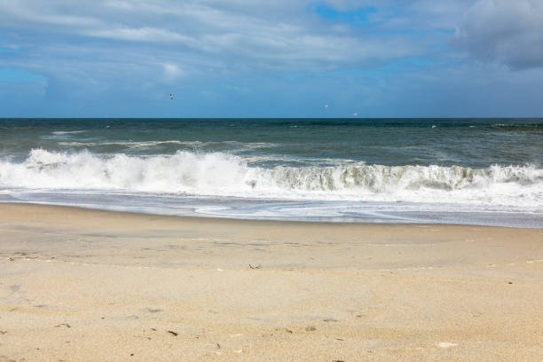 istock sand beach south west New Zealand 1165055473