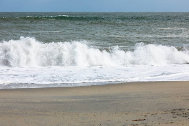 istock sand beach south west New Zealand 1165055484
