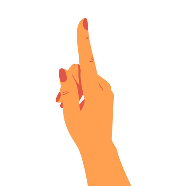 ilustrações de stock, clip art, desenhos animados e ícones de female hand points to something on top with the index finger - finger raised