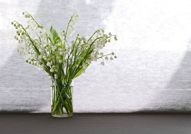 May lily flowers at the textile window shade. stock photo